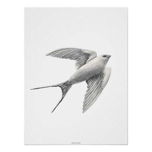 White Swallow Poster (Vorderseite)
