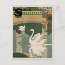 White Swan Alphabet