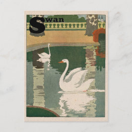 White Swan Alphabet Postkarte