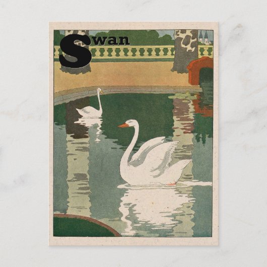 White Swan Alphabet Postkarte (Vorderseite)