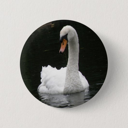 White Swan Button (Vorderseite)