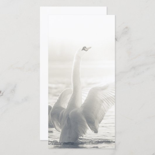 White Swan Card (Vorne/Hinten)