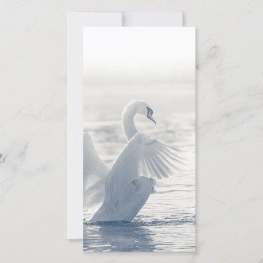 White Swan Card (Vorderseite)