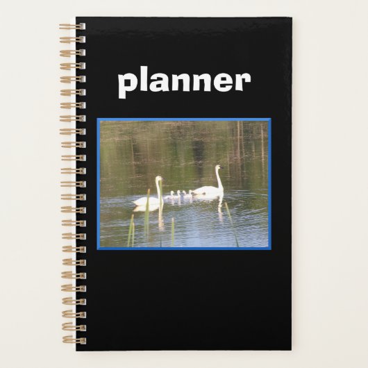 White Swan Family Planer (Vorderseite)