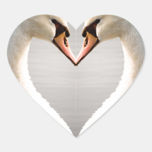White Swan Heart Herz-Aufkleber