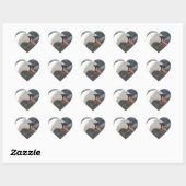 White Swan Heart Sticker (Blatt)