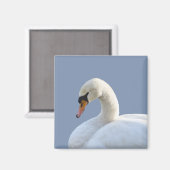 White Swan Kühlschrank Magnet (Vorderseite/Rückseite)