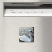 White Swan Magnet (In Situ (Geschirrspüler))