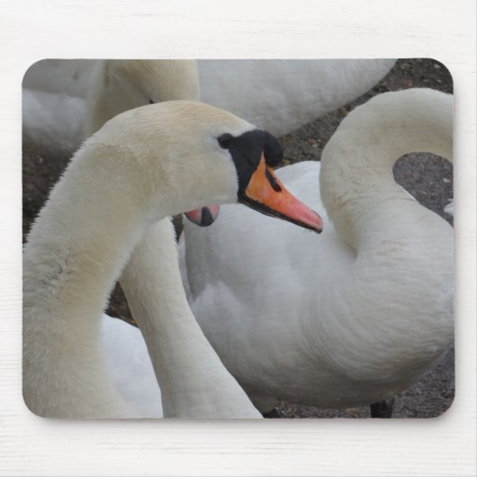 White Swan Mousepad (Vorne)