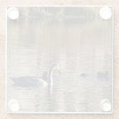 White Swan n Mallard Duck Glass Untersetzer (Rückseite)