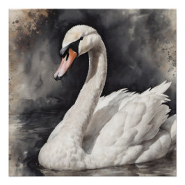 White Swan no 67 Glossy Poster