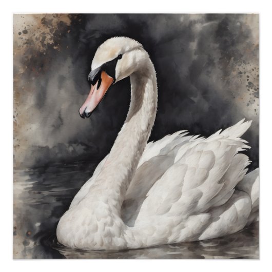 White Swan no 67 Glossy Poster (Vorderseite)