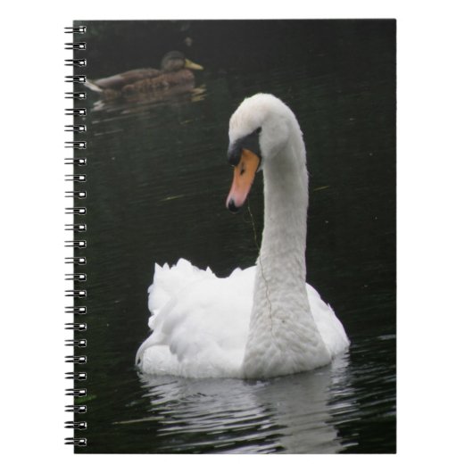 White Swan-Notebook Notizblock (Vorderseite)