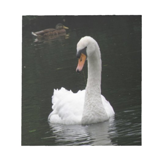 White Swan Notepad Notizblock (Vorderseite)