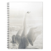 White Swan Notizblock (Vorderseite)