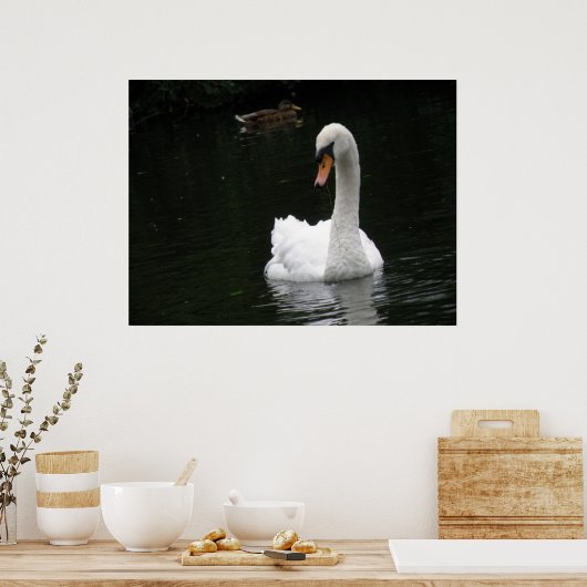 White Swan Poster (Küche)