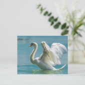 White Swan Postkarte (Stehend Vorderseite)