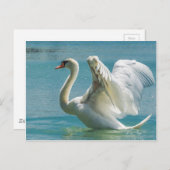 White Swan Postkarte (Vorne/Hinten)
