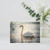 White Swan Postkarte (Stehend Vorderseite)