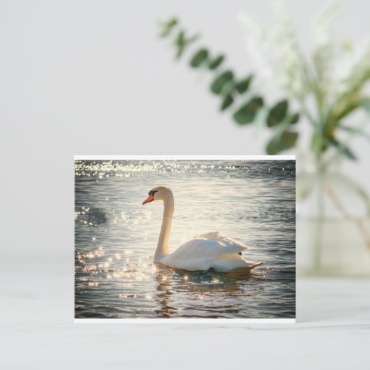 White Swan Postkarte (Stehend Vorderseite)