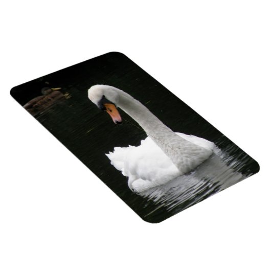 White Swan Premium Magnet (Rechte Seite)