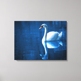 White Swan Schwimmen in einem Lago Canvas Print Leinwanddruck