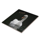 White Swan Tile Fliese (Seite)