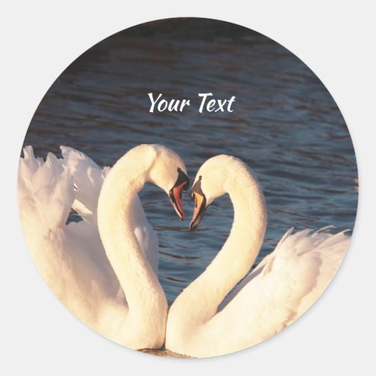 White Swans Classic Round Sticker (Vorderseite)