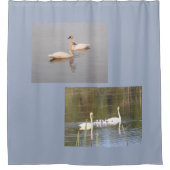 White Swans Duschvorhang (Vorderseite)