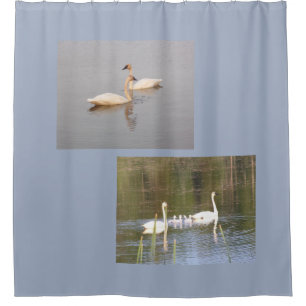 White Swans Duschvorhang