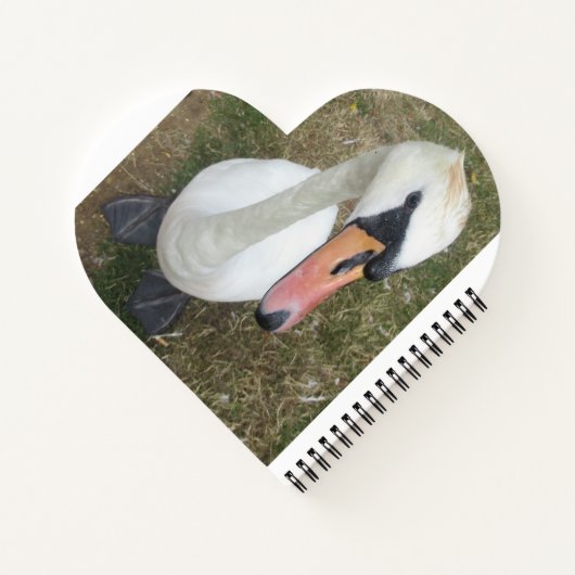 White Swans Spiral Notebook Notizblock (Rückseite)