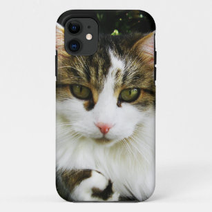 White Tabby Barely There™ iPhone 5 Fall Case-Mate iPhone Hülle