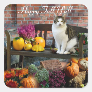 White Tabby Cat Fall Saison / Happy Fall Y'all Quadratischer Aufkleber
