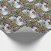 White & Tabby Cat Wrapping Paper Geschenkpapier (Ecke)