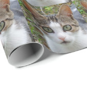White & Tabby Cat Wrapping Paper Geschenkpapier (Rolleneckpunkt)
