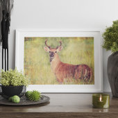 White Tail Buck Poster oder Entcoupage