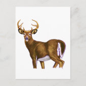 White Tail Deer Buck Postkarte (Vorderseite)