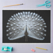 White Tail Peacock Decoupage Seidenpapier (Basteln)