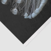 White Tail Peacock Decoupage Seidenpapier (Ausschnitt)