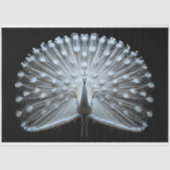 White Tail Peacock Decoupage Seidenpapier (Vorderseite)