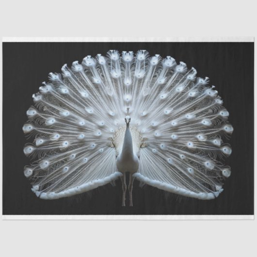 White Tail Peacock Decoupage Seidenpapier (Vorderseite)