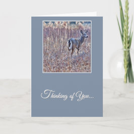 White-Tailed Deer - Thinking of You Card Karte
