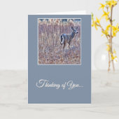 White-Tailed Deer - Thinking of You Card Karte (Gelbe Blume)