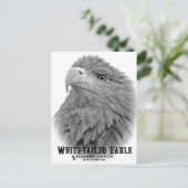 White-tailed Eagle Postkarte (Stehend Vorderseite)
