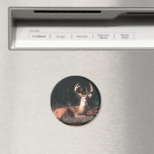 White Tails Buck Deer Magnet (In Situ (Geschirrspüler))