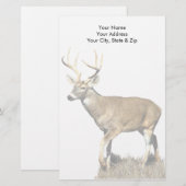 White Tails Deer Buck Briefpapier (Vorne/Hinten)