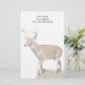 White Tails Deer Buck Briefpapier (Stehend Vorderseite)
