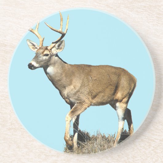 White Tails Deer Buck Getränkeuntersetzer (Vorne)