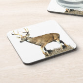 White Tails Deer Buck Getränkeuntersetzer (Linke Seite)