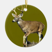 White Tails Deer Buck Keramik Ornament (Vorne)